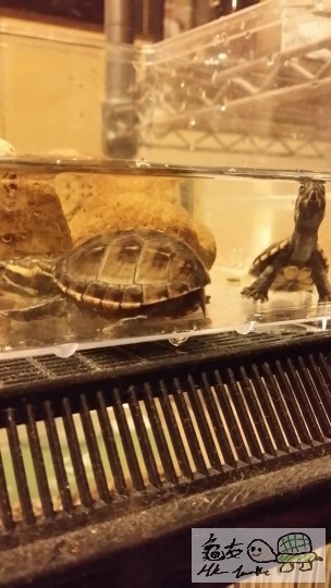 2014-05-22 22.28.02.jpg