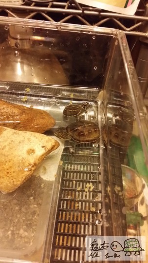 2014-05-22 22.28.20.jpg