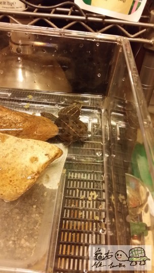 2014-05-22 22.28.27.jpg