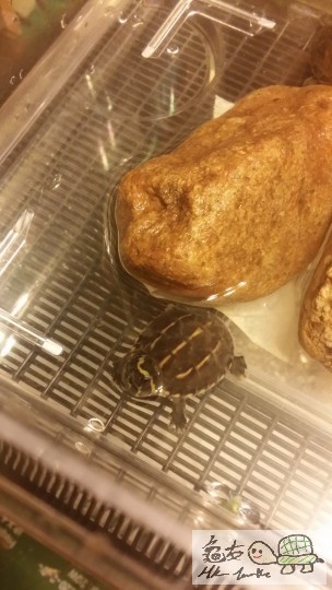 2014-05-26 22.24.36.jpg