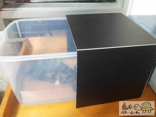 雖然屋企唔係太熱 但係我都怕哂到佢 所以做左個黑合仔比佢休息