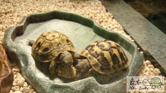 2014-07-02 20.39.08.jpg