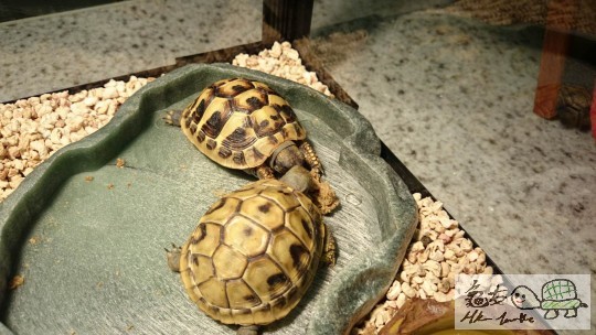 2014-07-02 20.38.30.jpg