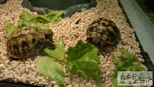 2014-06-16 21.04.35.jpg