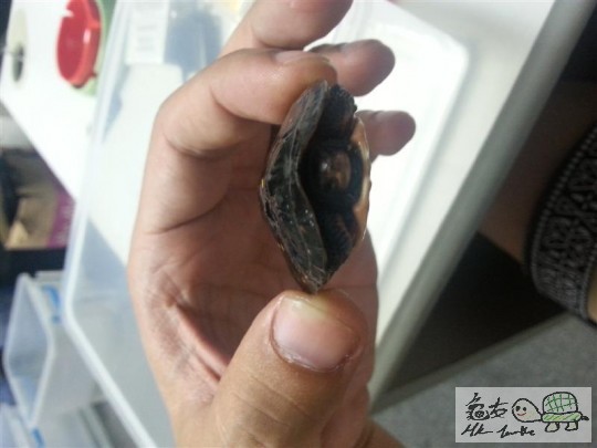 20140717_175258 (中型).jpg