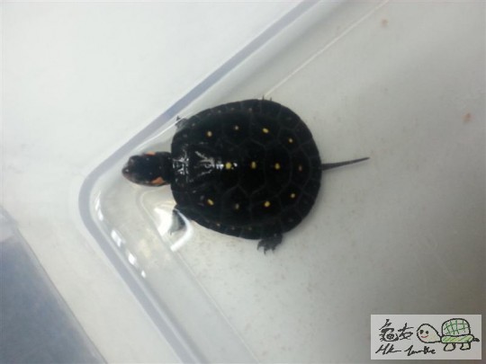 20140717_175217 (中型).jpg