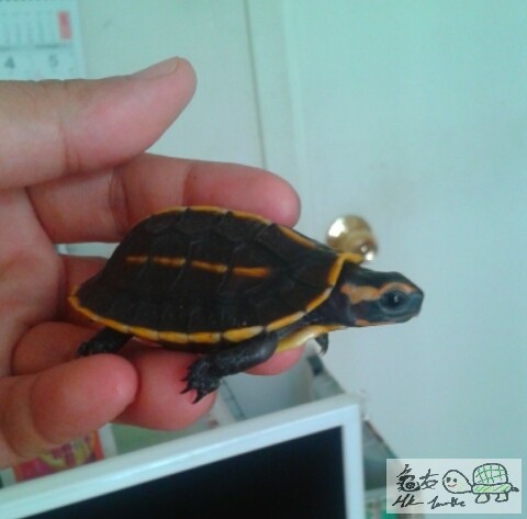 2014-07-31 07.42.21.jpg