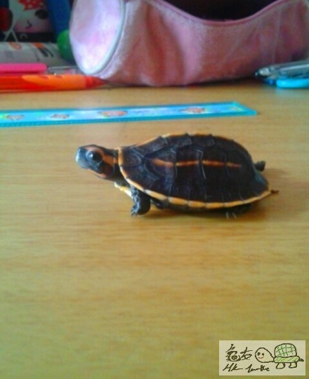 2014-07-31 07.43.10.jpg