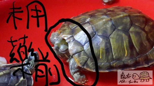 2014-08-11 16.36.31 (1).jpg