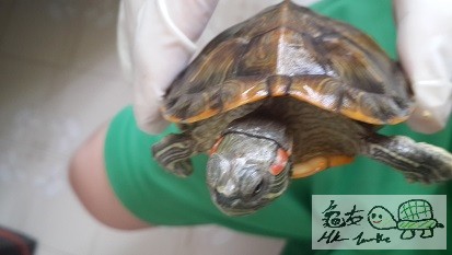 20140811_152132 jpg1.jpg