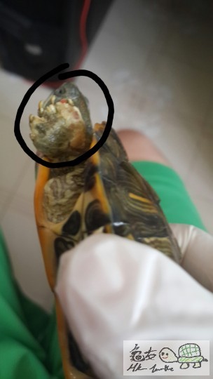 2014-08-11 16.03.10 jpg.jpg