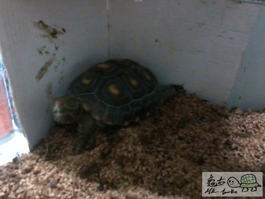 2014-04-13 19.32.13.jpg