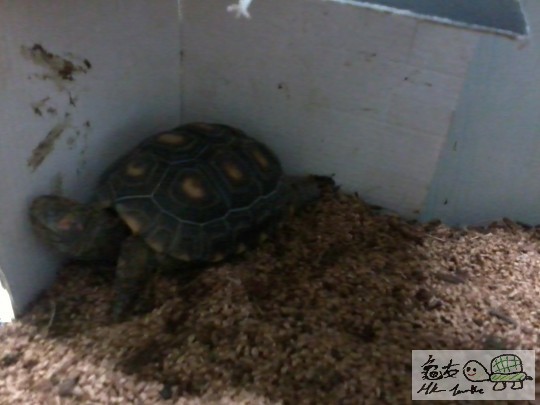 2014-04-13 19.32.23.jpg