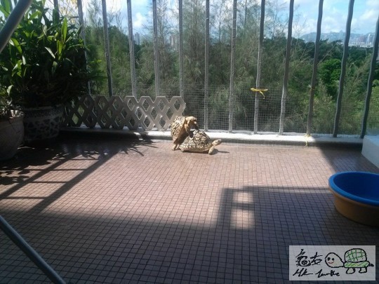 10527670_663319773750536_5620323969212093658_n (1).jpg