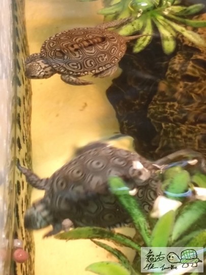 20141009_153248 01.jpg