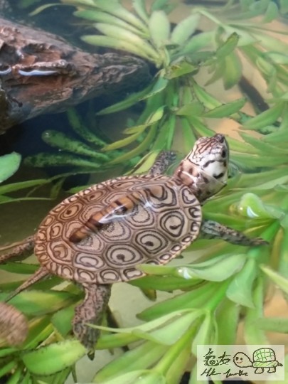 20141015_151225 01.jpg