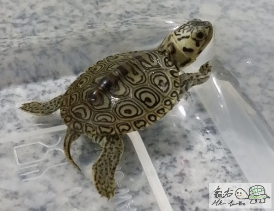 20141016_021244 01.jpg