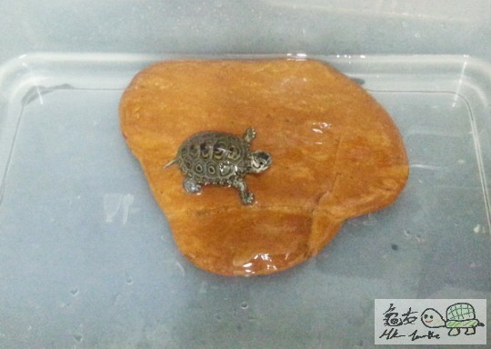 複製 -201414103_220540.jpg