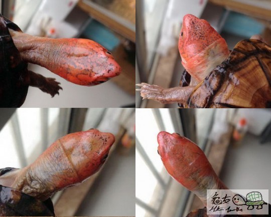 複製 -12ftcccty4_000809.jpg