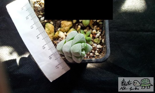 654 (14) (Large).jpg