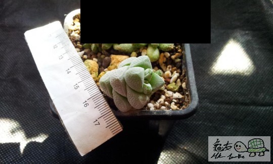 654 (15) (Large).jpg