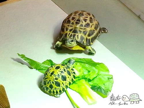 複製 -20141218_183512.jpg