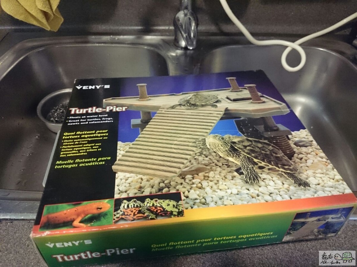 (A1) 100% NEW ($50).jpg