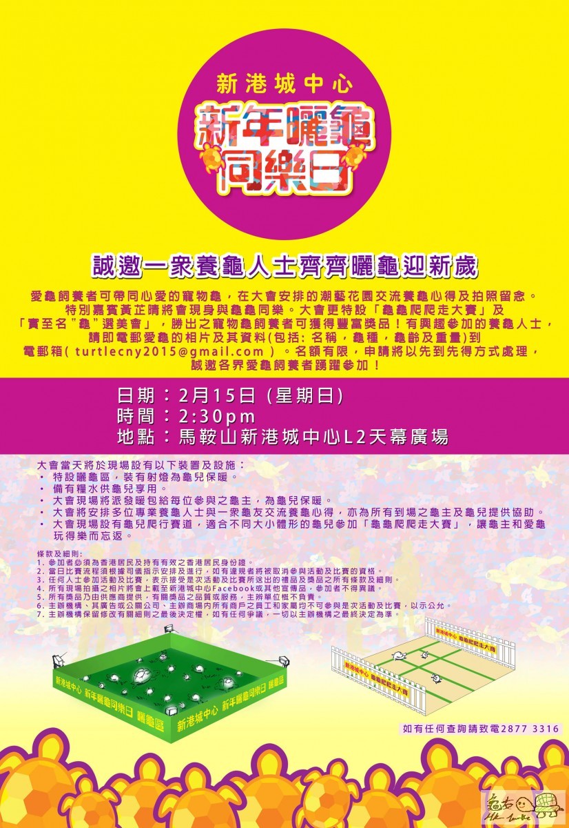 Turtle fun day E-poster 1.jpg