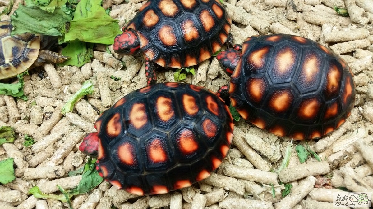 2015-03-10 13.42.37.jpg