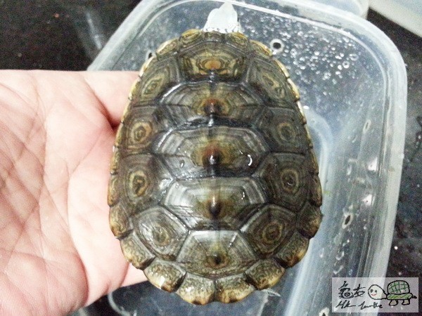 複製 -20141020_185637.jpg