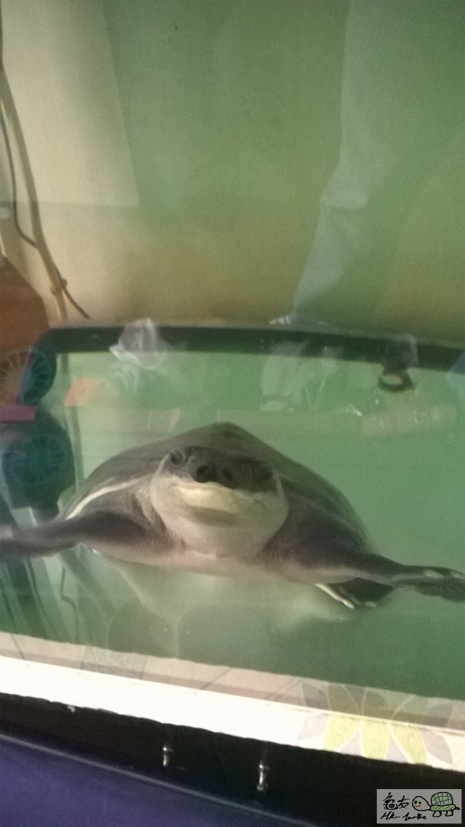 WP_20150411_001 (2).jpg