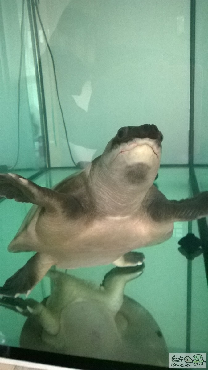 WP_20150411_003 (2).jpg