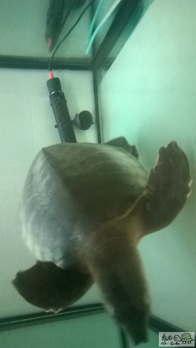 WP_20150410_007 (2).jpg