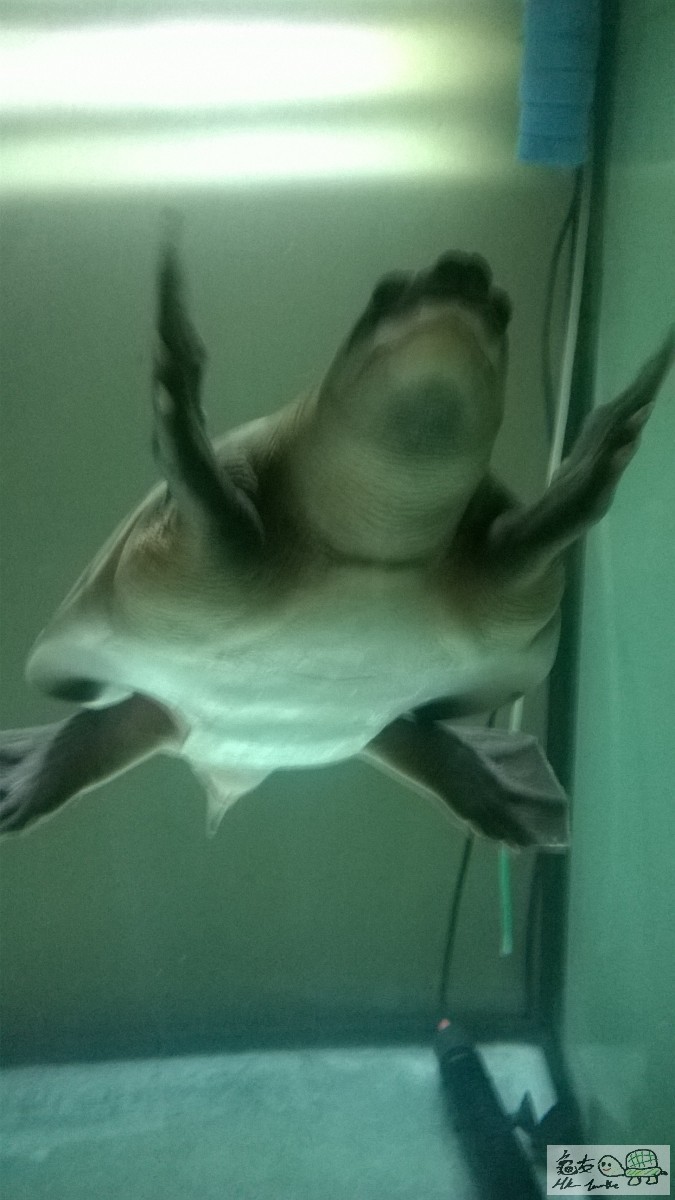 WP_20150410_019 (2).jpg