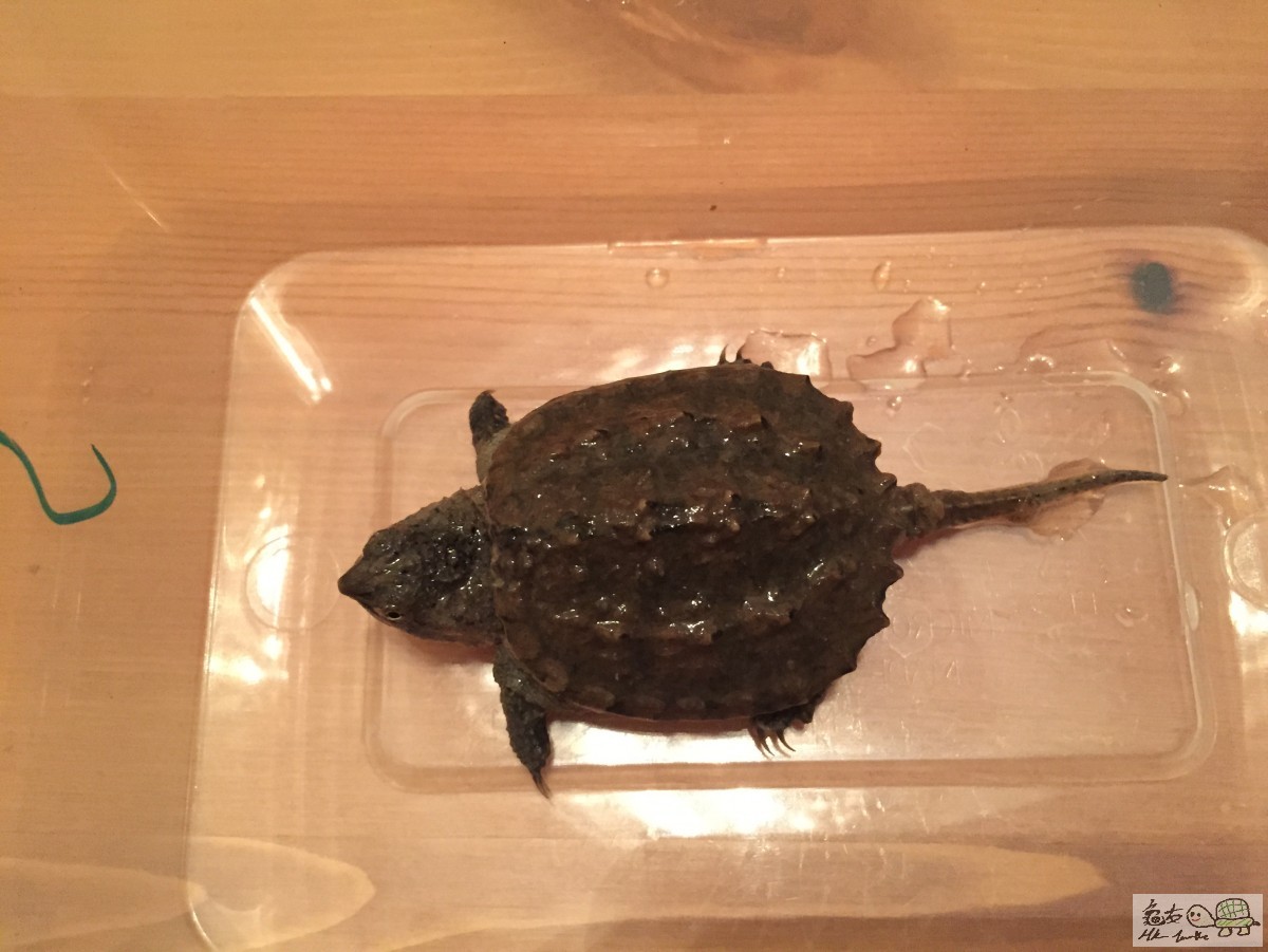 檔案 12-4-2015下午7 33 08.jpeg