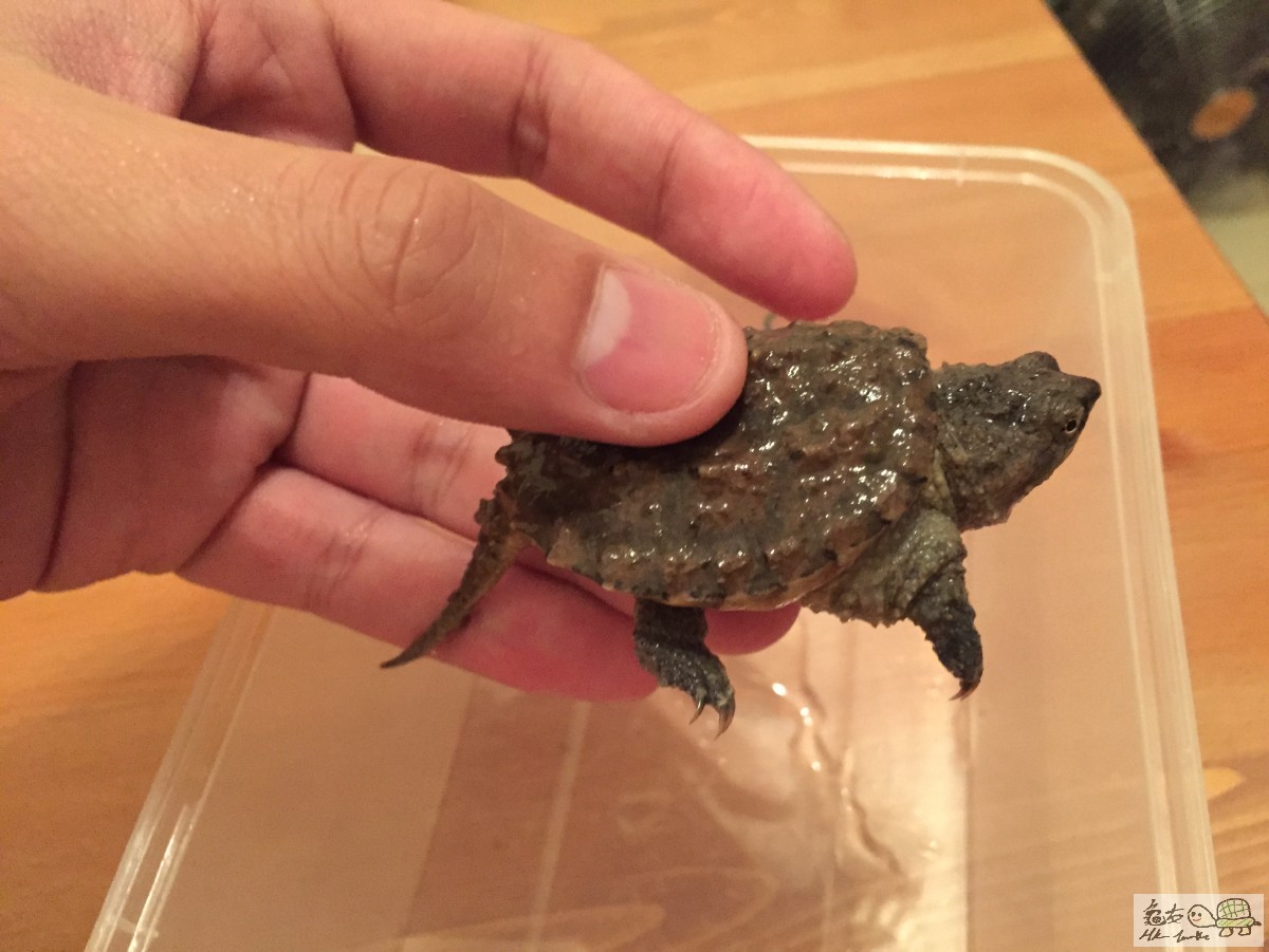 檔案 12-4-2015下午7 33 29.jpeg