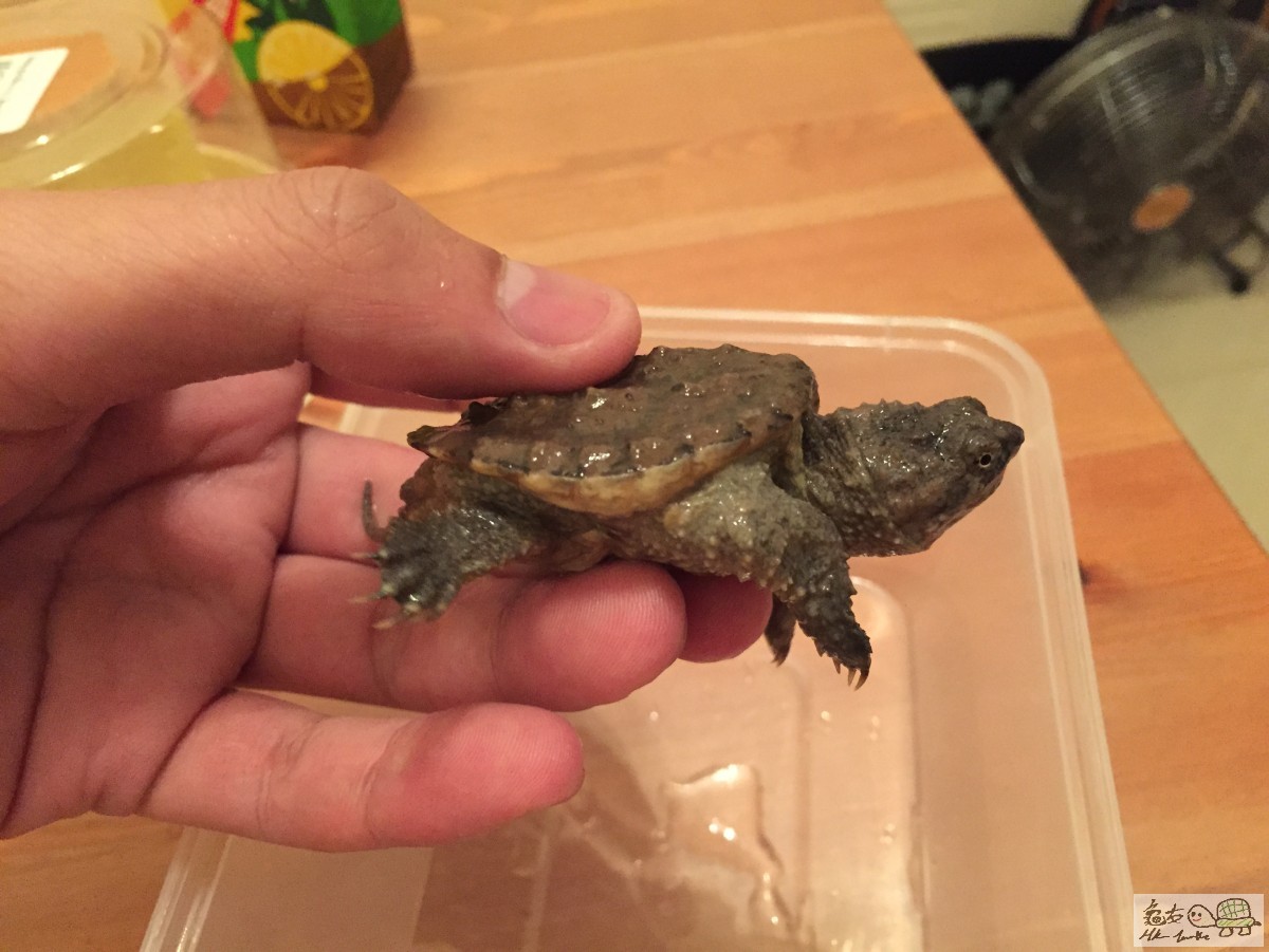 檔案 12-4-2015下午7 33 44.jpeg