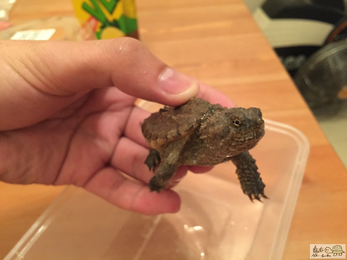 檔案 12-4-2015下午7 33 54.jpeg