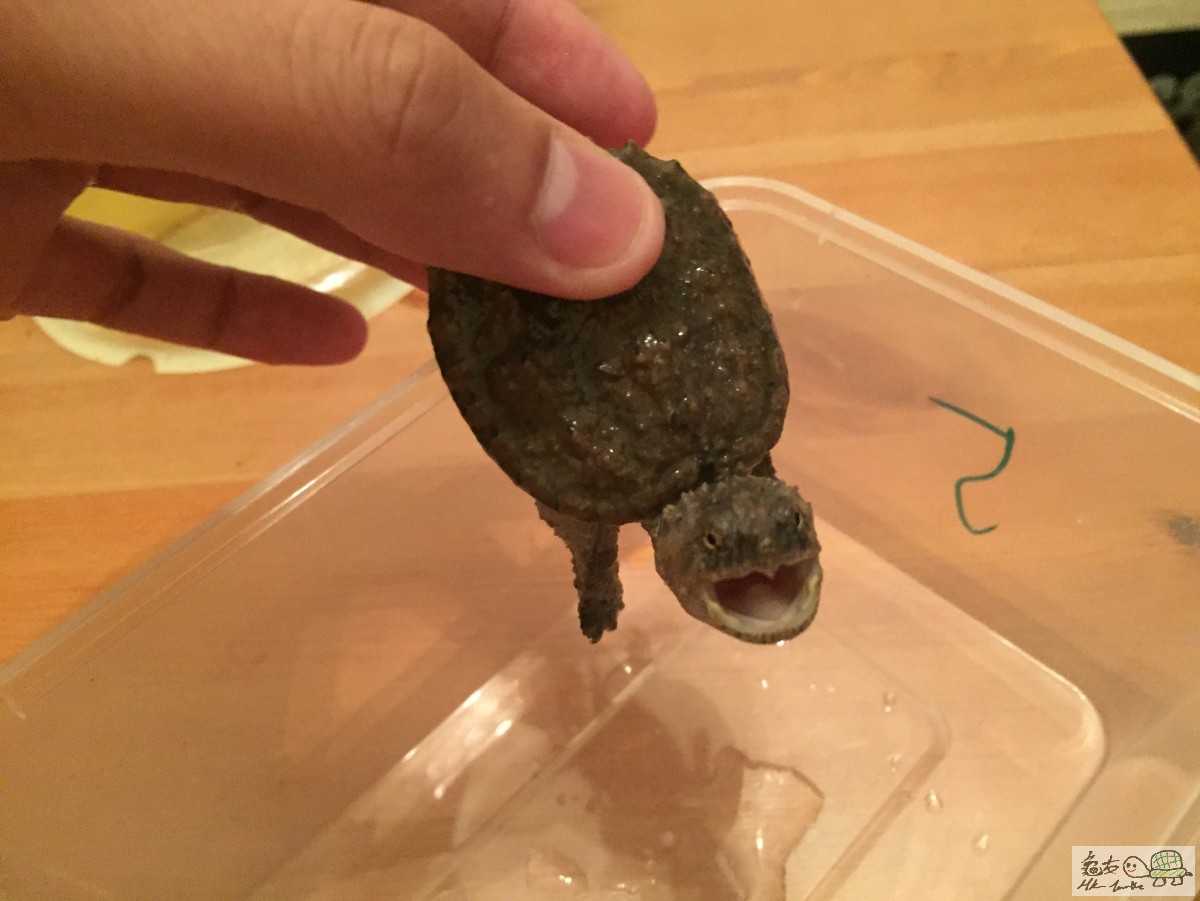 檔案 12-4-2015下午7 34 06.jpeg