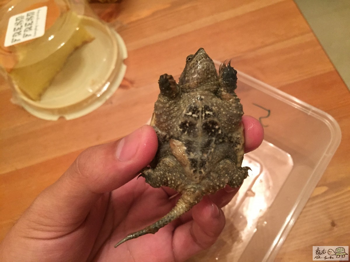 檔案 12-4-2015下午7 34 19.jpeg