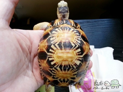 複製 -20150416_161026.jpg