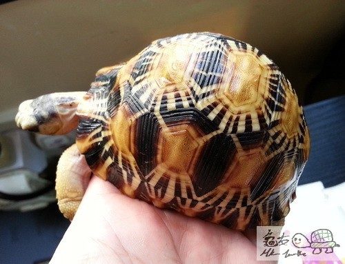 複製 -20150416_161031.jpg