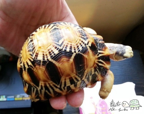 複製 -20150416_161035.jpg