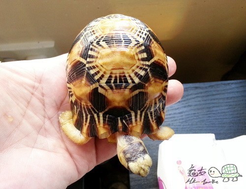 複製 -20150416_161107.jpg