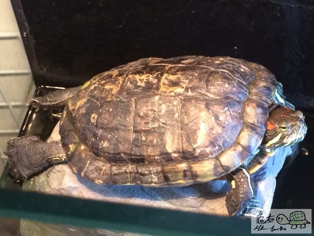 ç…§ç‰‡ 1.JPG