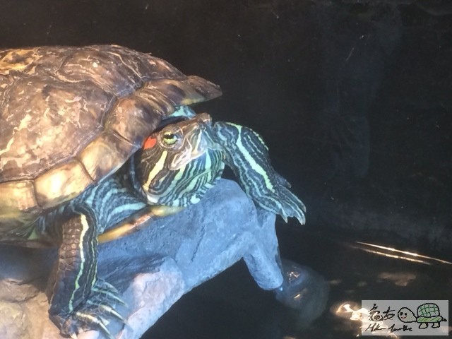 ç…§ç‰‡ 2.JPG