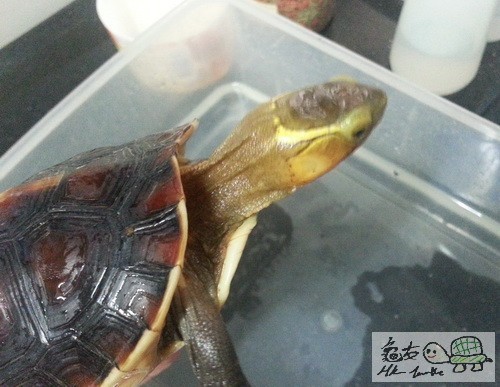 複製 -20140925_173126.jpg