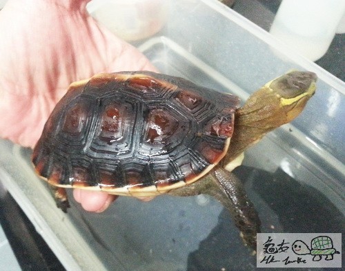 複製 -20140925_173207.jpg