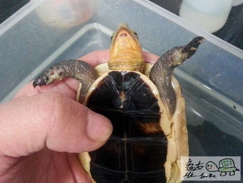 複製 -20140925_173239.jpg