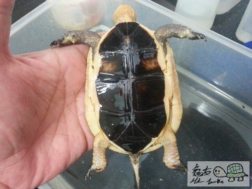 複製 -20140925_173224.jpg